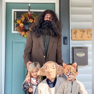 Harry Potter: Dobby Mask- OS